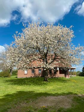 Foto - Alleinlage, Badestelle & Hofidylle