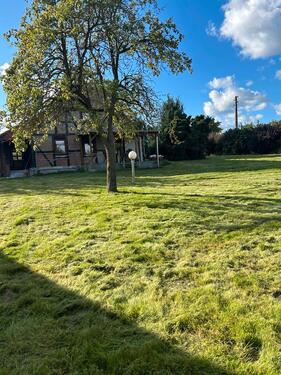 Foto - 3 Zimmer Einfamilienhaus zum Kaufen in Laage