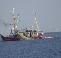 Lastminute Nordsee Hooksiel 2-Personen 28.08-14.09.2025 - Wangerland