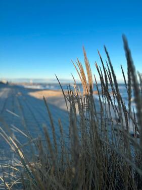 Foto - andere in Dahme zur Miete