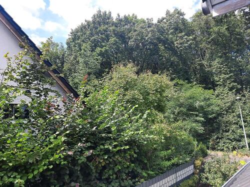 Foto - Einfamilienhaus zum Kaufen in Osnabrück