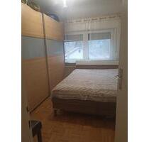 4zImmer Küche Bad Balkon 2 OG in Heligenkirchen - Detmold Hiddesen