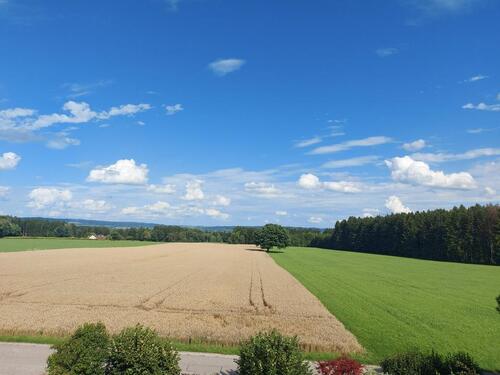 Foto - Sehr schöne 5,5 Zimmer-Wohnung in traumhafter Lage