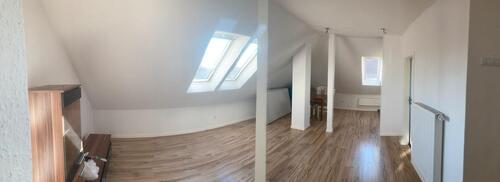 Foto - 2 Zimmer Etagenwohnung zur Miete in Sögel