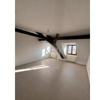 1 Zimmer Wohnung 49m2 in Lössnitz - Lößnitz