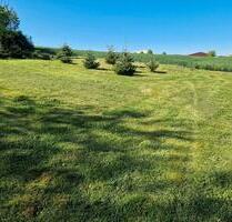 Baugrundstück in ruhiger Lage - 46,00&nbsp;EUR Kaltmiete, ca.&nbsp; 0,00&nbsp;m&sup2; in Gemünden (PLZ: 55490)