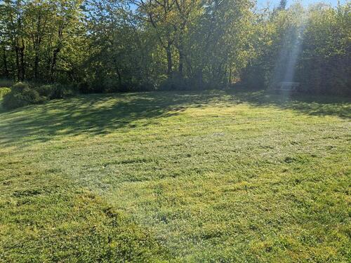 Foto - Grundst&uuml;ck zur Miete in Gemünden