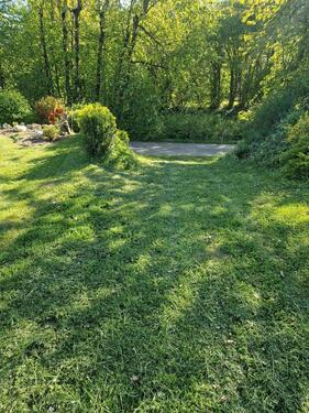 Foto - Grundst&uuml;ck in Gemünden