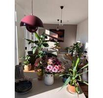 Schöne Wohnung zur zwischenmiete ab 012027 - Leipzig Mitte