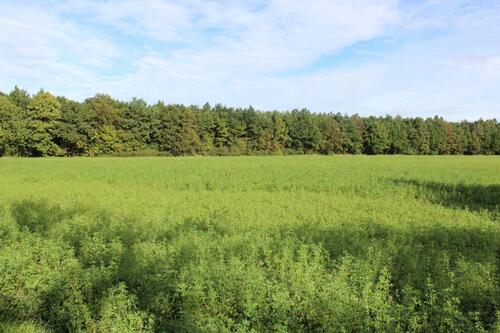 Foto - 2 Zimmer Etagenwohnung in München