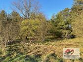 Foto - andere in Bleckede
