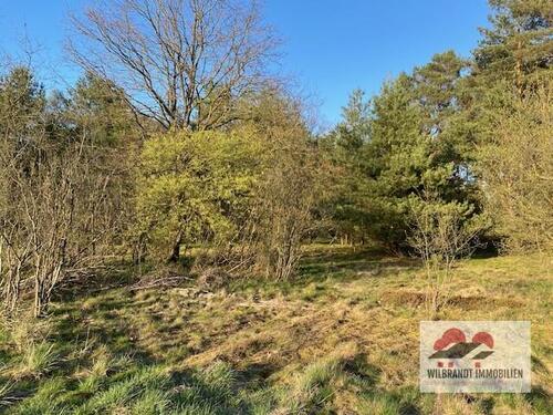 Foto - andere in Bleckede