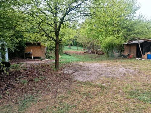 Foto - 2 mal 2000qm Garten Wald Hund Pferd Huhn Tinyhaus Bach Gemüse