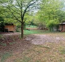 2 mal 2000qm Garten Wald Hund Pferd Huhn Tinyhaus Bach Gemüse - Guldental