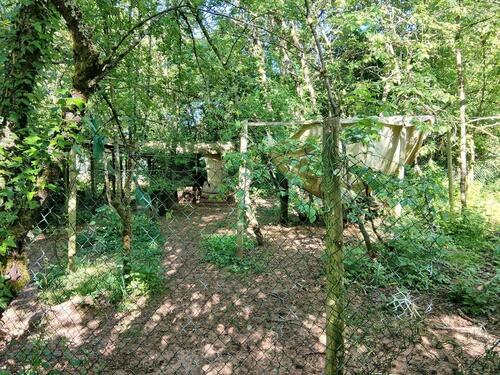 Foto - Grundst&uuml;ck in Guldental zur Miete