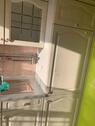 Foto - 2 Zimmer Dachgeschoßwohnung zur Miete in Wermsdorf