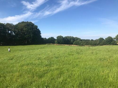 Foto - 16 Zimmer Mehrfamilienhaus, Wohnhaus in Oldenburg in Holstein