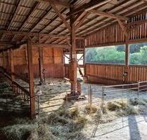 Hofstelle mit ehemaliger Käserei zu verpachten - Bad Münstereifel