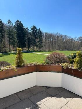 Foto - Renovierte 2-Zimmer-Wohnung 