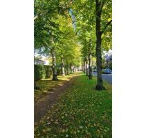 2 Zimmer, Bestlage, Wohnen im Grünen, nahe Philosophenviertel - Hannover Buchholz-Kleefeld