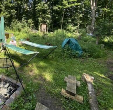 Foto - 1350qm Garten, Freizeitgrundstück in Pirmasens zu verpachten!