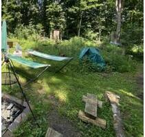 1350qm Garten, Freizeitgrundstück in Pirmasens zu verpachten!
