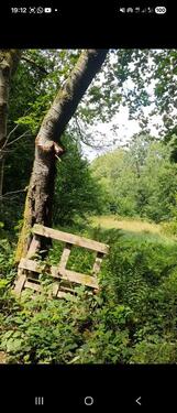 Foto - Grundst&uuml;ck in Pirmasens