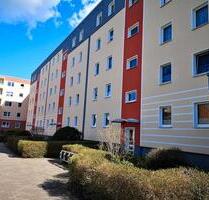 ++ Singlewohnung zum Wohlfühlen ++ - Bergen auf Rügen