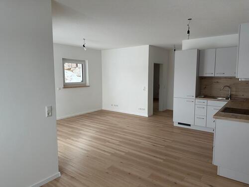 Foto - 1 Zimmer Erdgeschoßwohnung zur Miete in Dachsberg (Südschwarzwald)