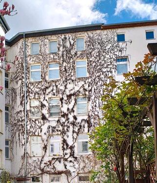 Foto - 1 Zimmer Dachgeschoßwohnung zur Miete in Magdeburg