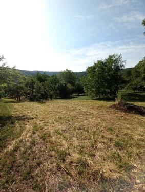 Foto - Baumwiese Gütle in Schorndorf - 5.000,00 EUR Kaltmiete, ca.  0,00 m²