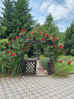 Foto - Gartengrundstück mit Gartenhaus Stockstadt Main Ortsrand