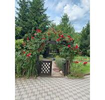 Gartengrundstück mit Gartenhaus Stockstadt Main Ortsrand - Stockstadt am Main