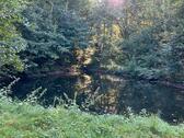 Foto - Weiher Teichgrundstück Fischteich
