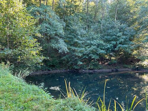 Foto - Grundst&uuml;ck zur Miete in Eschenburg