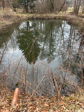Foto - Grundst&uuml;ck in Eschenburg zur Miete