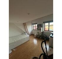 WG Zimmer - 580 Euro mtl. warm (4er WG) zum 01.05.26 - Heide