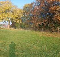 Wiese in Gremersdorf zu verpachten - Oldenburg in Holstein