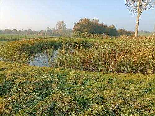 Foto - Grundst&uuml;ck zur Miete in Oldenburg in Holstein