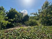 Foto - Mehrfamilienhaus, Wohnhaus in Ubstadt-Weiher zum Kaufen