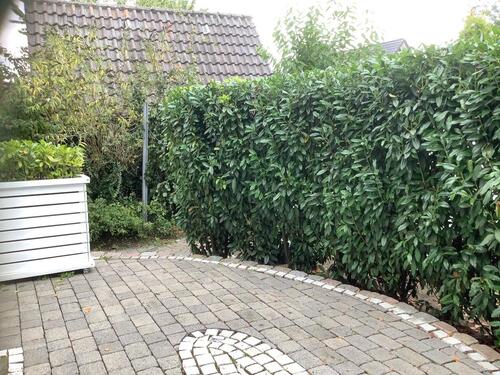 Foto - Erdgeschosswohnung - 770,00 EUR Kaltmiete,