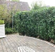 Erdgeschosswohnung - 770,00 EUR Kaltmiete, in Stadtlohn (PLZ: 48703)