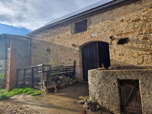 Foto - Wohnen mit Bauernhofflair – 3,5-Zimmer, Haustiere erwünscht