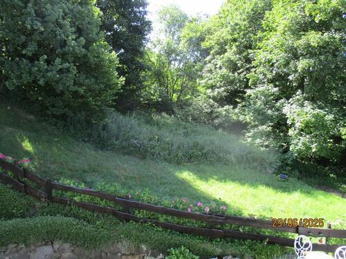 Foto - Excl. Wohnhaus im Grünen als Kapitalanlage, ein Wunschhaus.