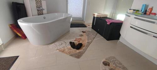 Foto - Einfamilienhaus zum Kaufen in Schönberg (Holstein)