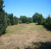 Schrebergarten Gartenlaube Kleingarten bei Lüneburg zu verpachten - Embsen