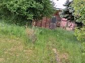 Foto - Grundstück in Osternienburger Land