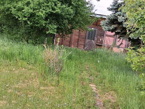 Foto - Grundstück in Osternienburger Land
