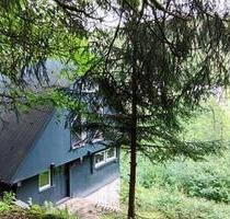GENESUNGS_HAUS auf 4.000m² Natur Paradies_ FERiENHAUS - Lauterbach