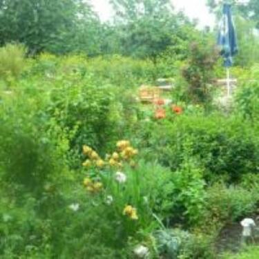 Foto - Mietwohnung 3 Zimmer Vollmöbliert
